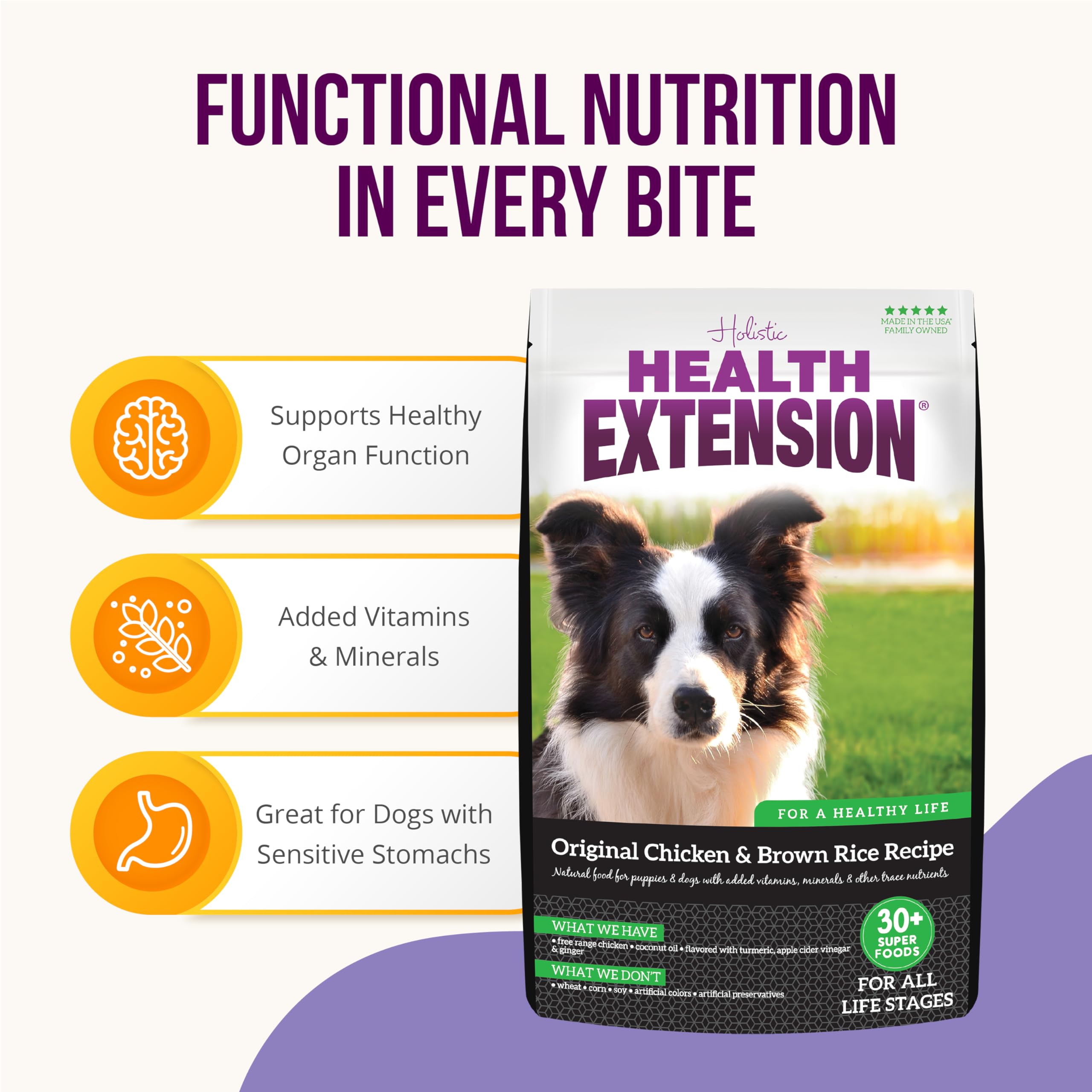 Health Extension Original Pollo y Arroz Integral, perro comiendo, energía suave para el día.
