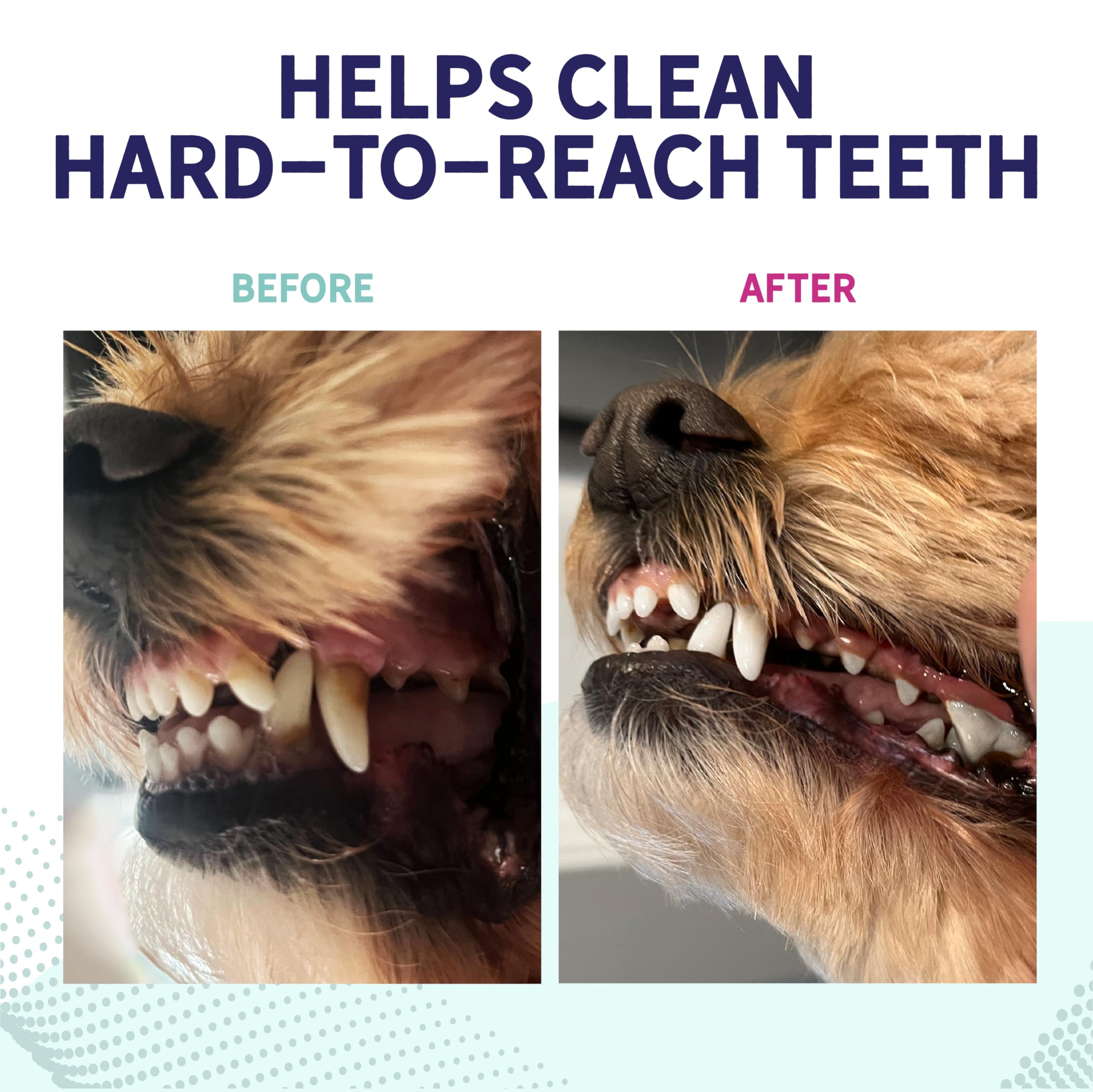 Health Extension Probiotic Bones para perros: elaborado en Estados Unidos