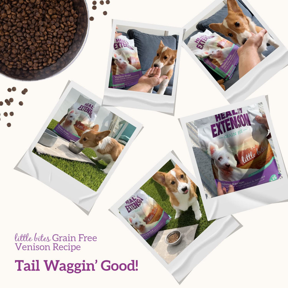 Health Extension sabores naturales en bocados para perros pequeños