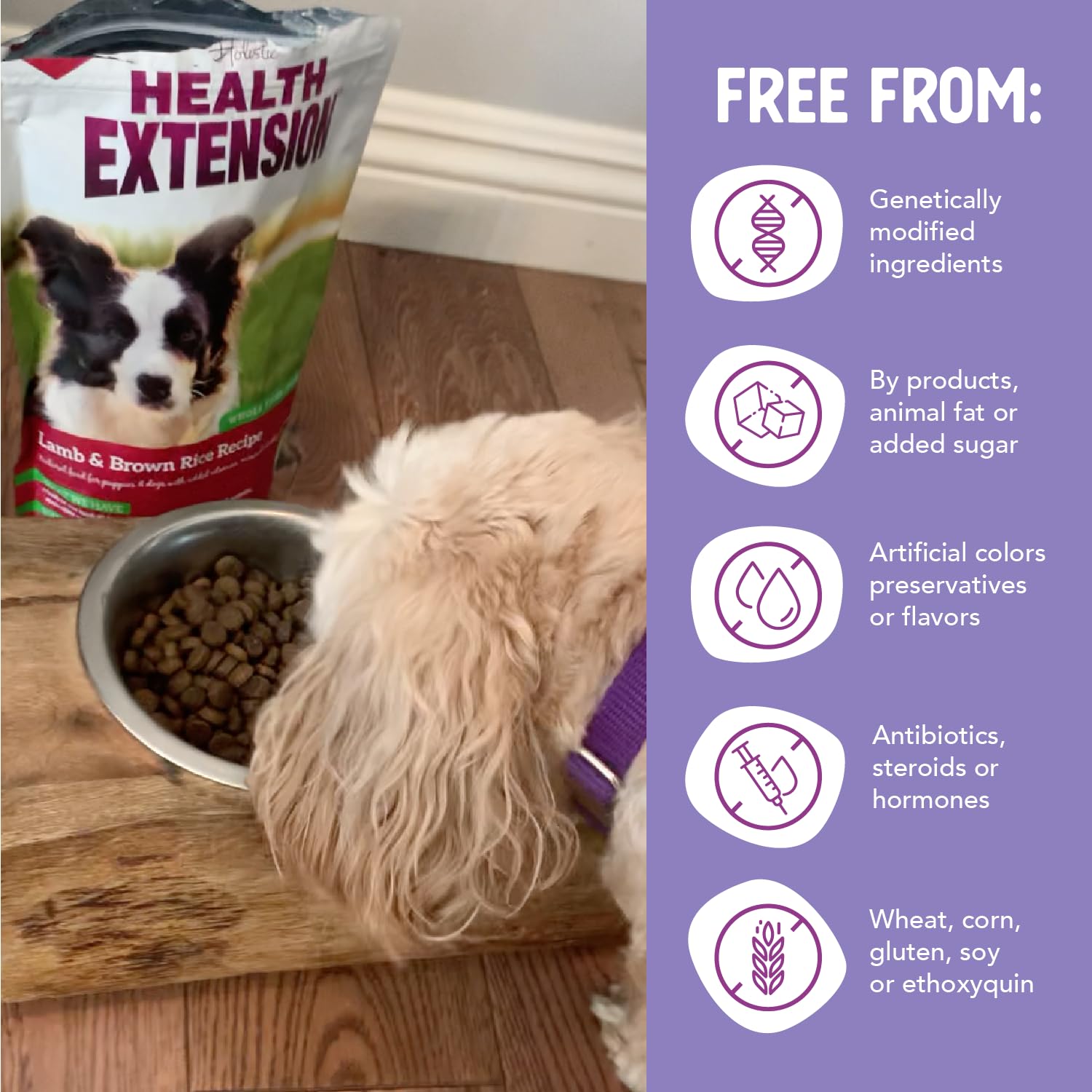 Health Extension sin aditivos artificiales para perros, fórmula limpia.