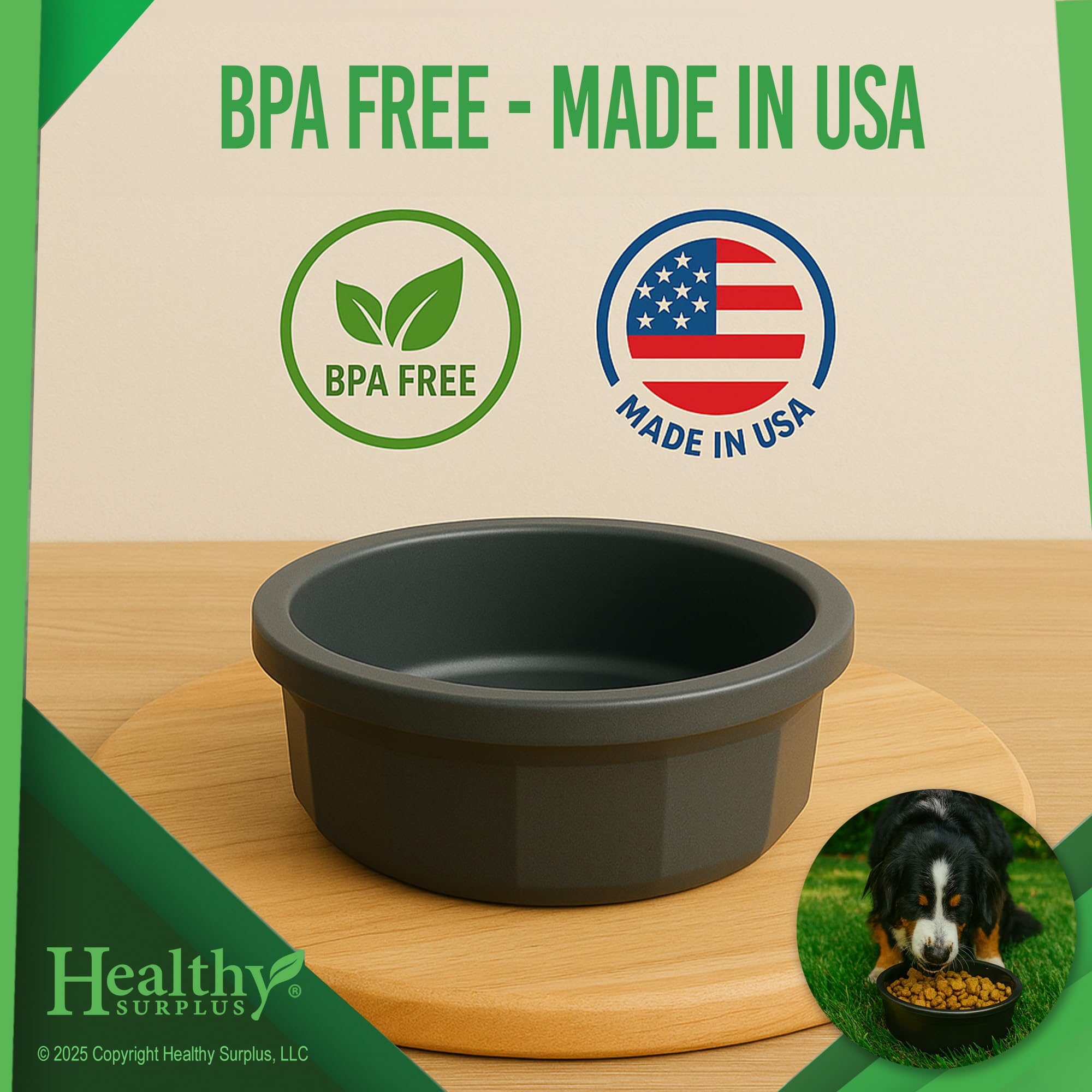 Healthy Surplus cuenco Pet Crock resistente a mordidas para casa.