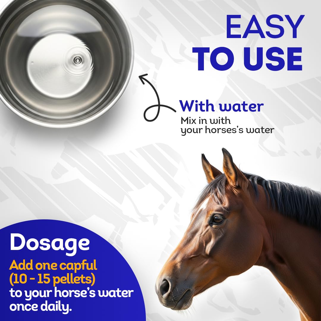 HealthyAnimals4Ever HA4E instrucciones de dosis para caballos.