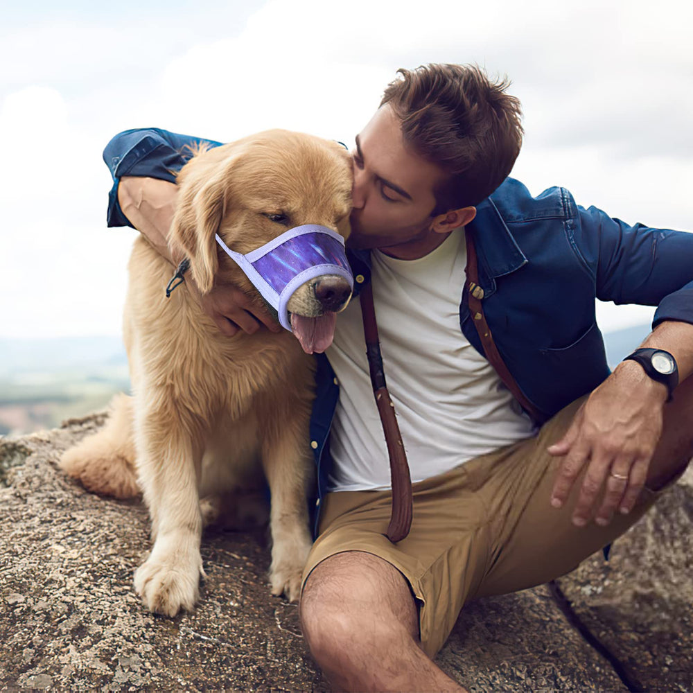 Tallas disponibles para perros pequeños, medianos y grandes, ajustándose mejor