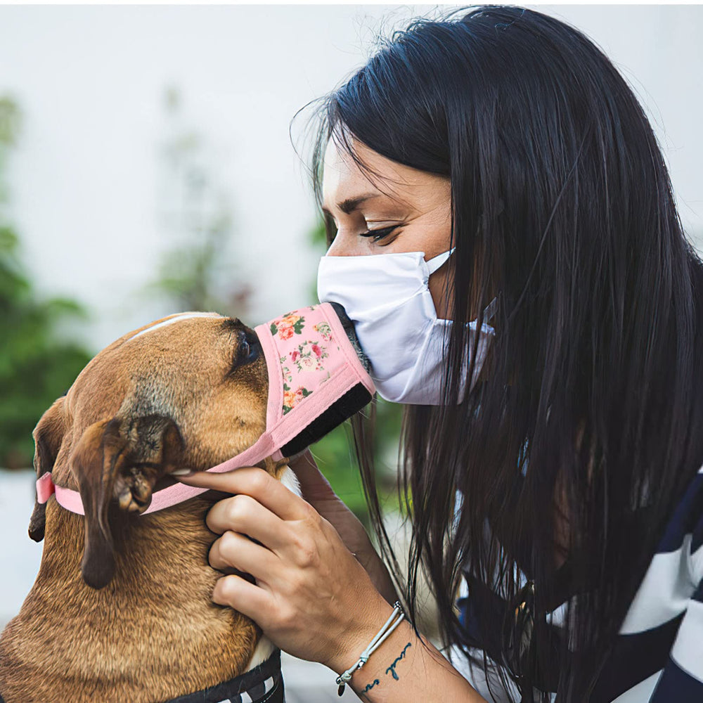 HEELE masque chien confort doux avec rembourrage intérieur pour un port agréable.