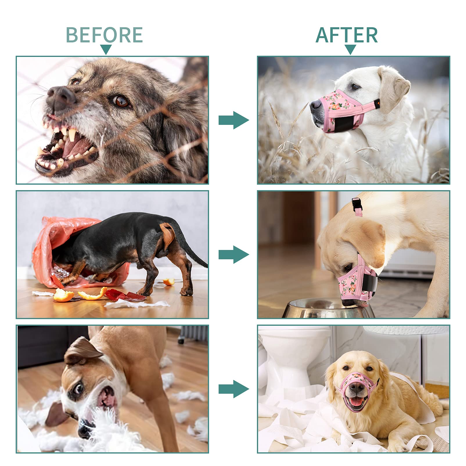 HEELE masque chien lavable en machine pour un entretien pratique.