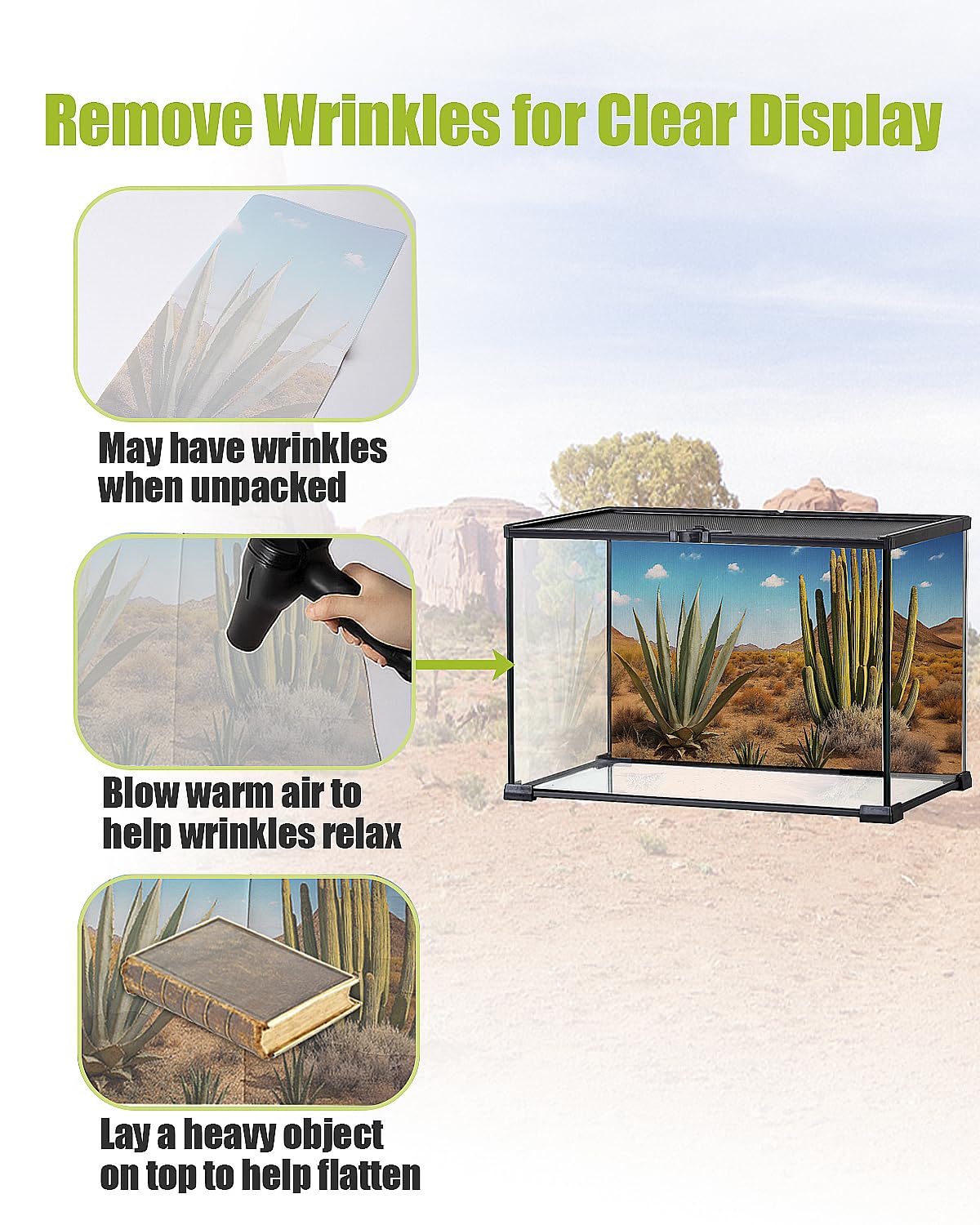 Helidrago fondo reptil rocoso, ambiente natural que favorece la curiosidad del reptil