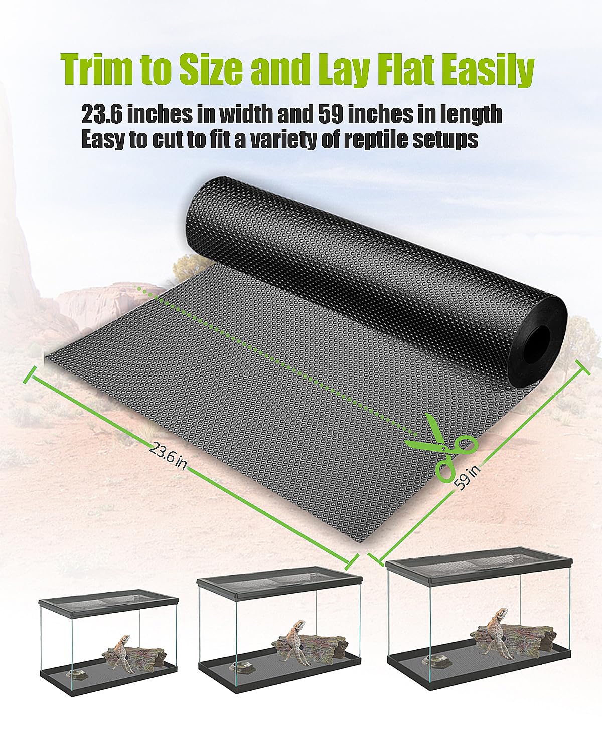 Helidrago: accesorios para tanque de dragón barbúdo en 120 galones.