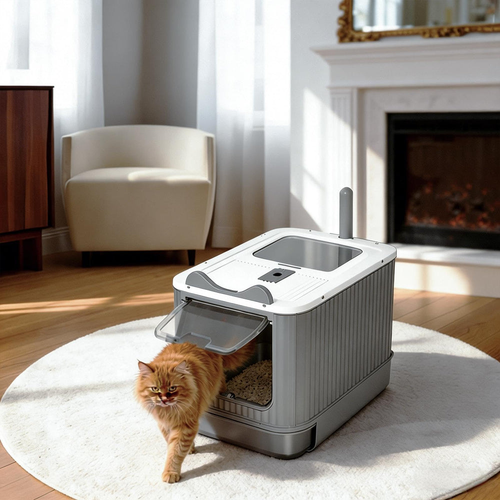 Helntova alfombrilla para gato y pala incluida para limpieza