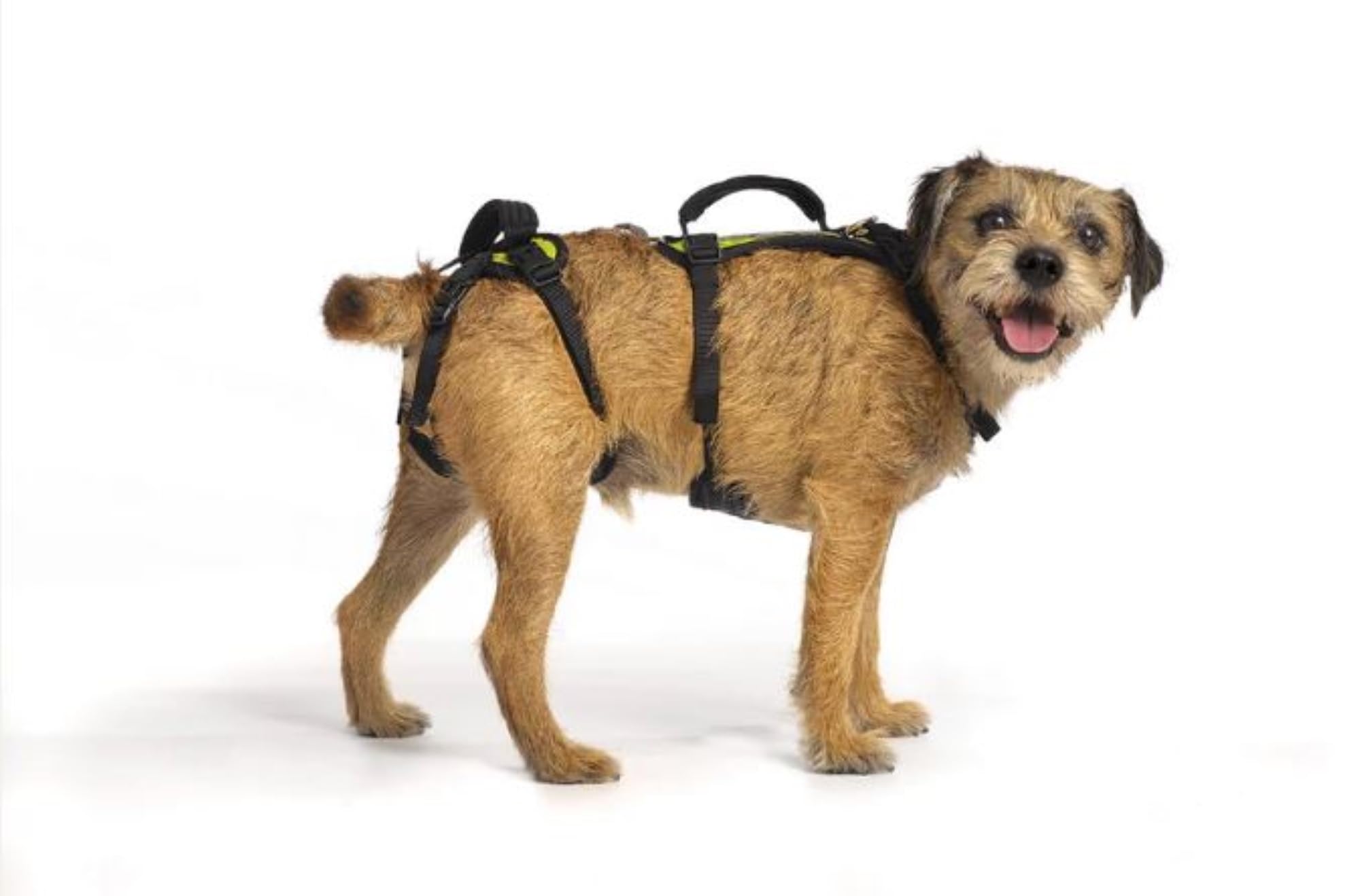 Help 'Em Up arnés de elevación para perro, enfoque en subir escaleras, soporte estable.