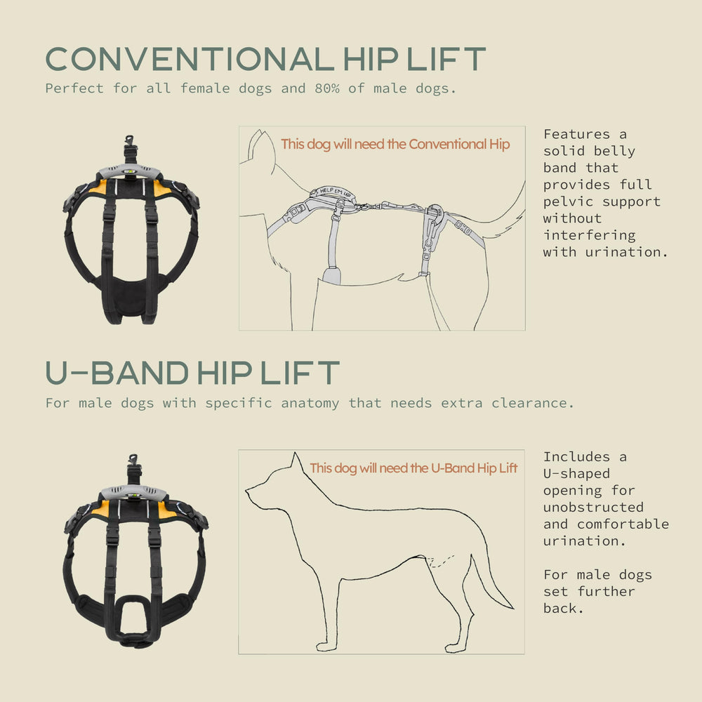Help 'Em Up, diseño convencional, distribución de peso para paseos más cómodos.