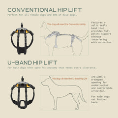 Help 'Em Up, diseño convencional, distribución de peso para paseos más cómodos.