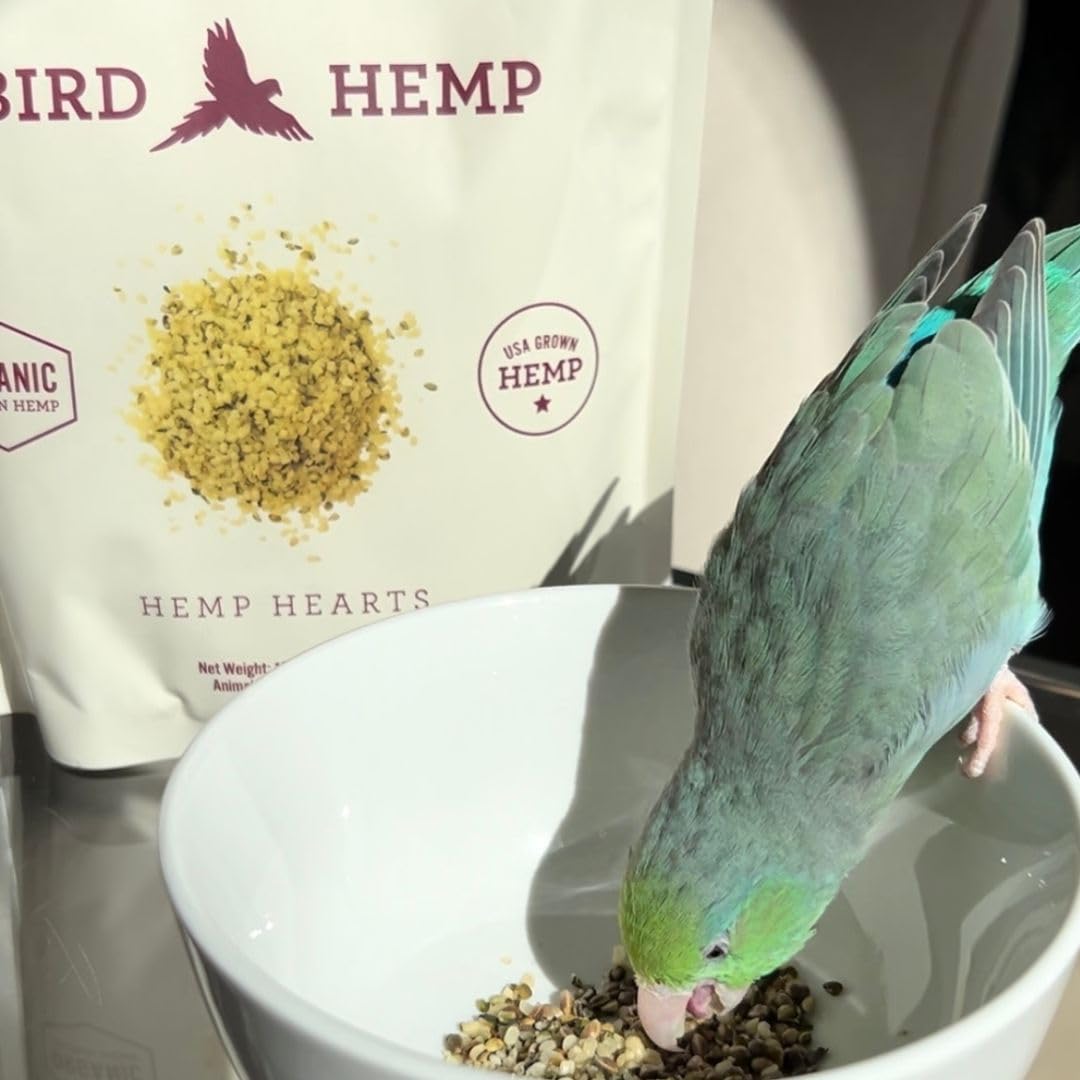 Hemp Well: cultivo orgánico en EE. UU. para semillas de calidad.