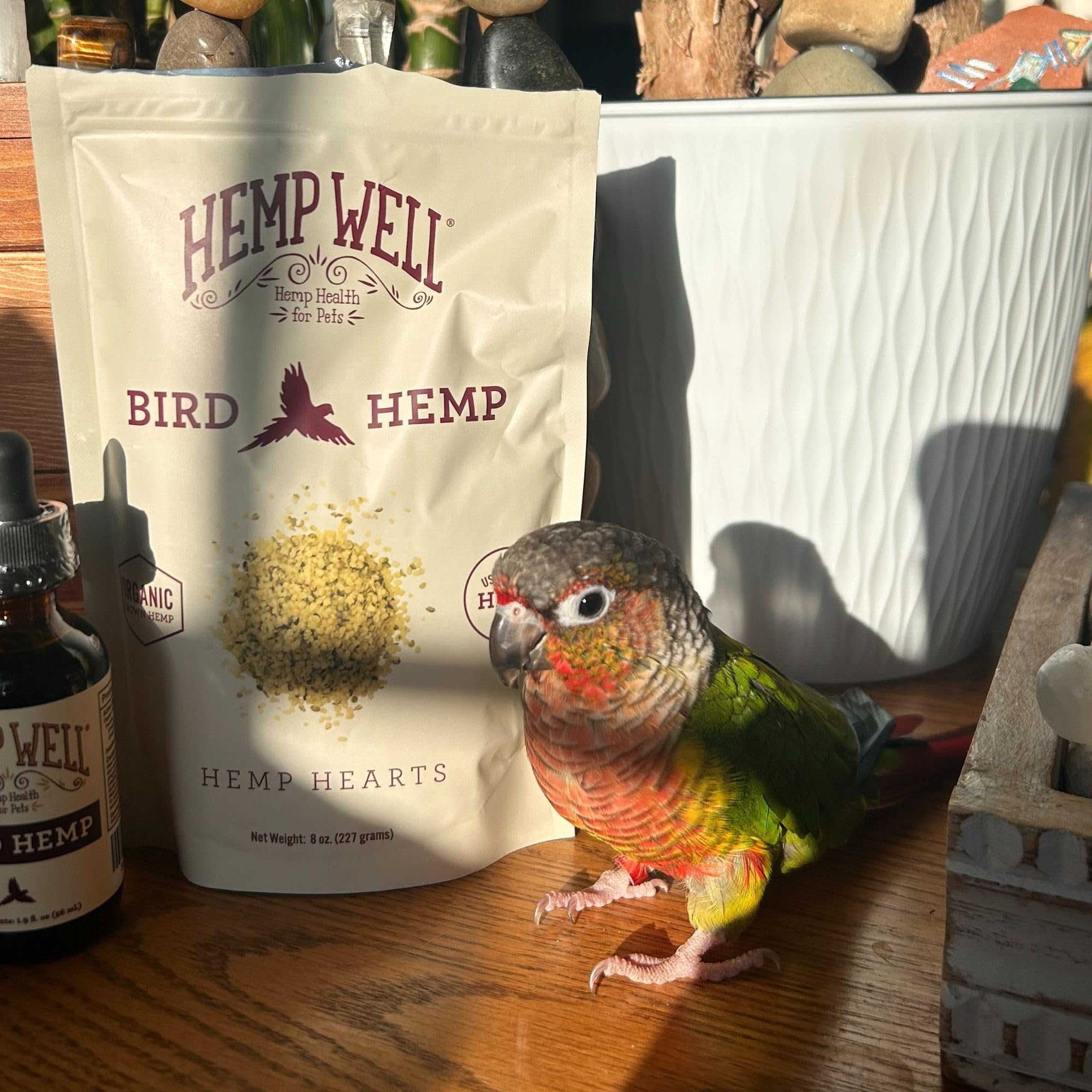 Hemp Well: envase hermético cerrado para frescura diaria.