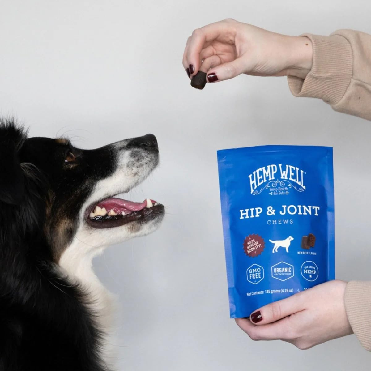 Hemp Well omega 3 y 6 brindan soporte general para la salud del perro.