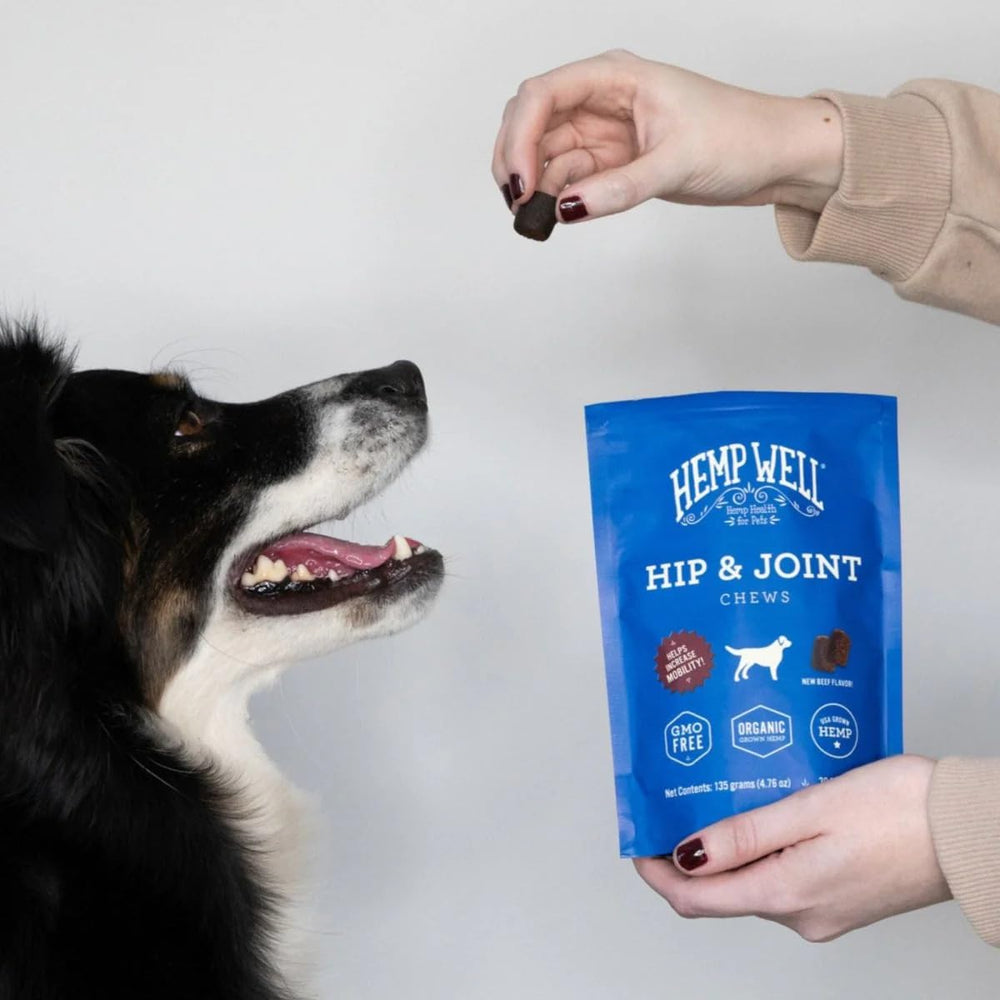 Hemp Well omega 3 y 6 brindan soporte general para la salud del perro.