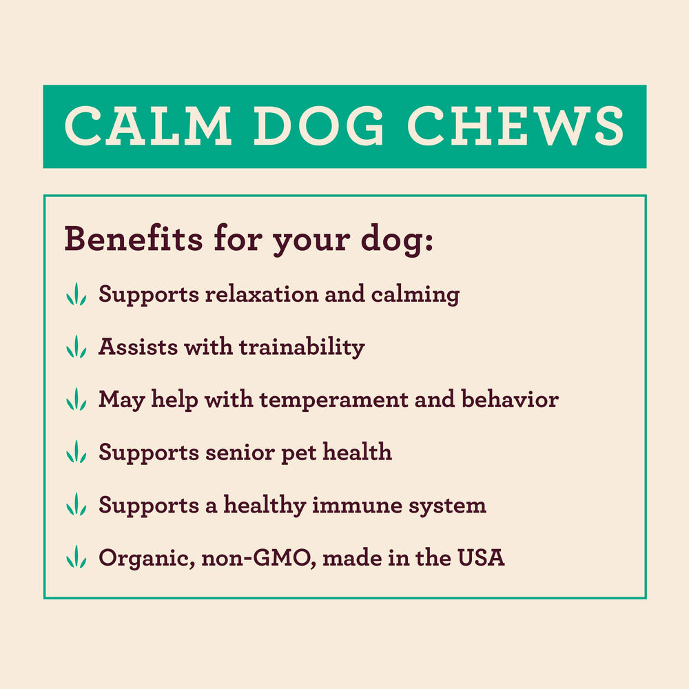 Hemp Well Calm Dog para tormentas, uso durante ruidos fuertes