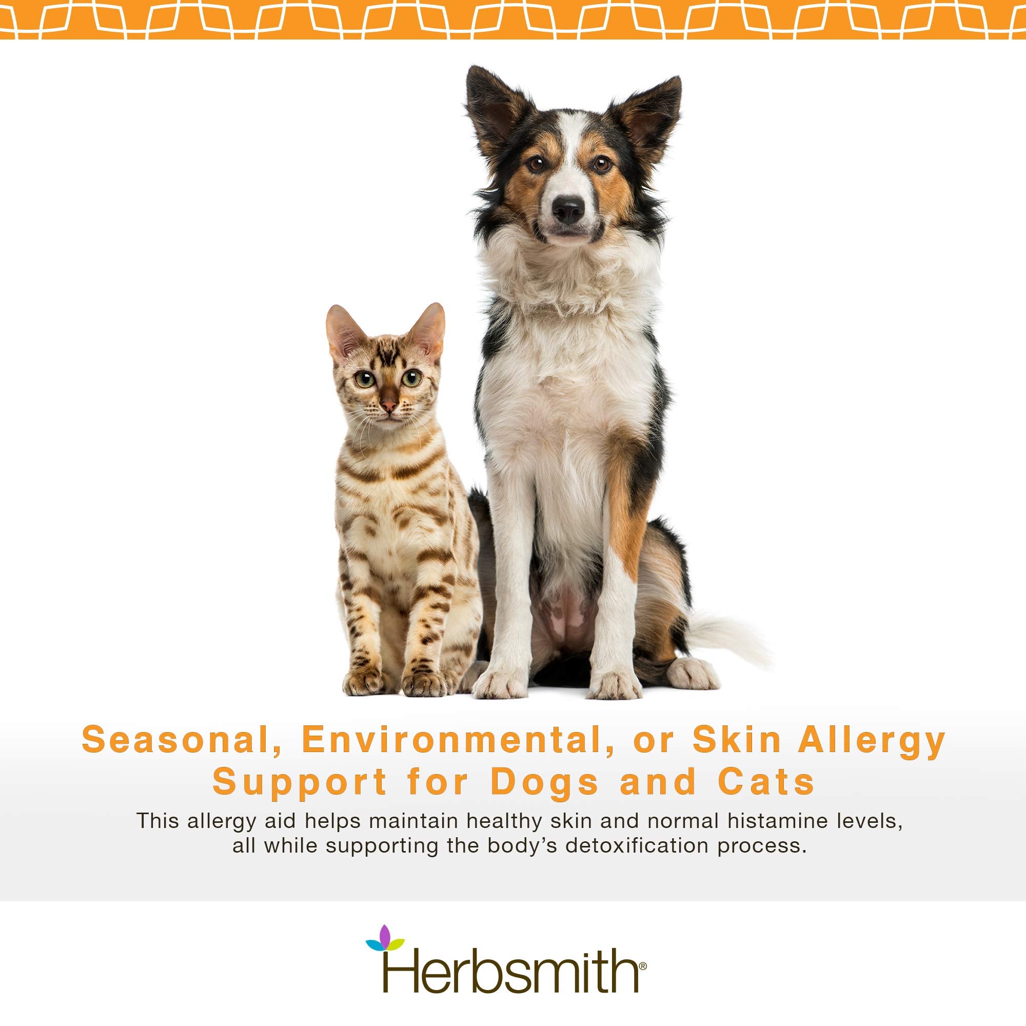Herbsmith Clear AllerQi mascota-relajada; muestra uso cómodo.