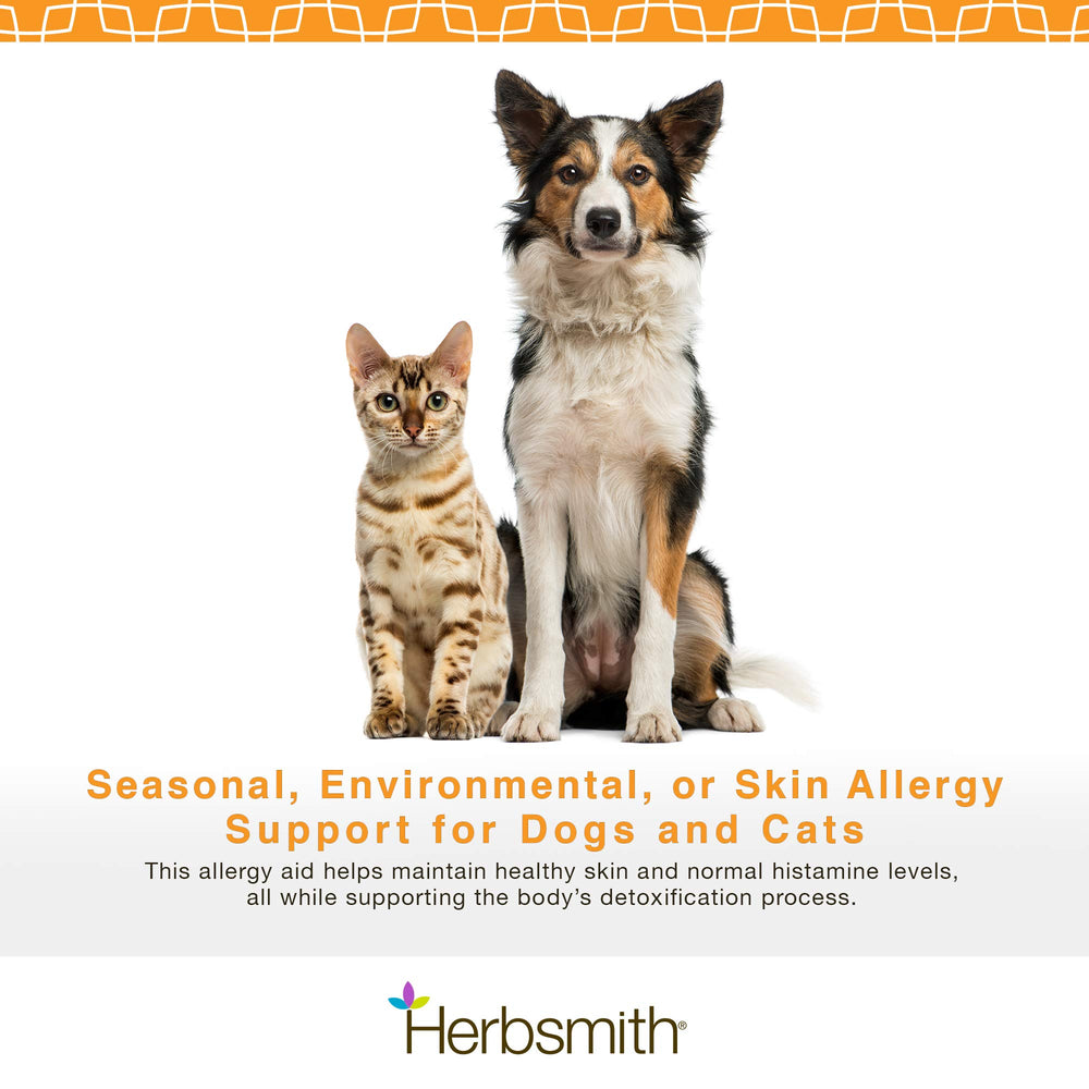 Herbsmith Clear AllerQi mascota-relajada; muestra uso cómodo.