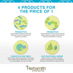 Herbsmith Microflora Plus: dar cápsulas para una digestión más suave en perros