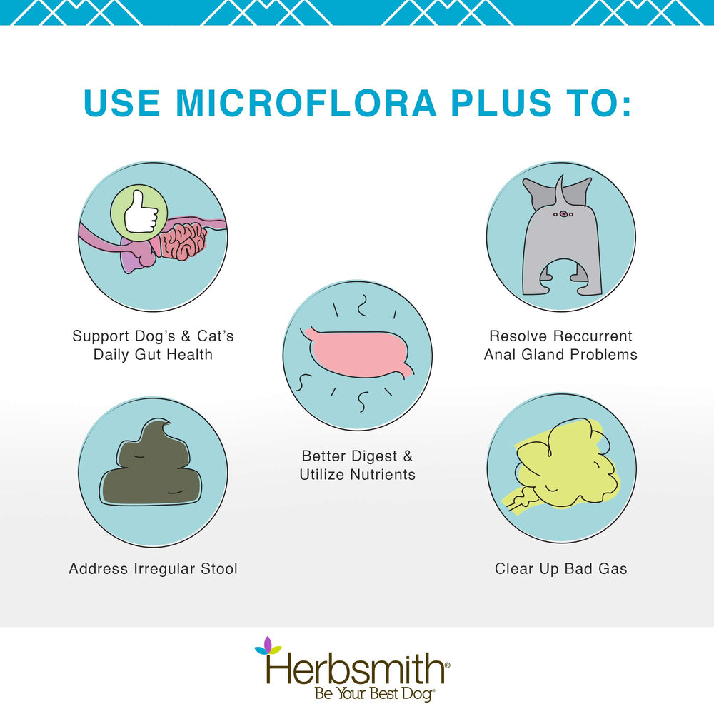 Herbsmith Microflora Plus, mezclar en la comida para perros exigentes.
