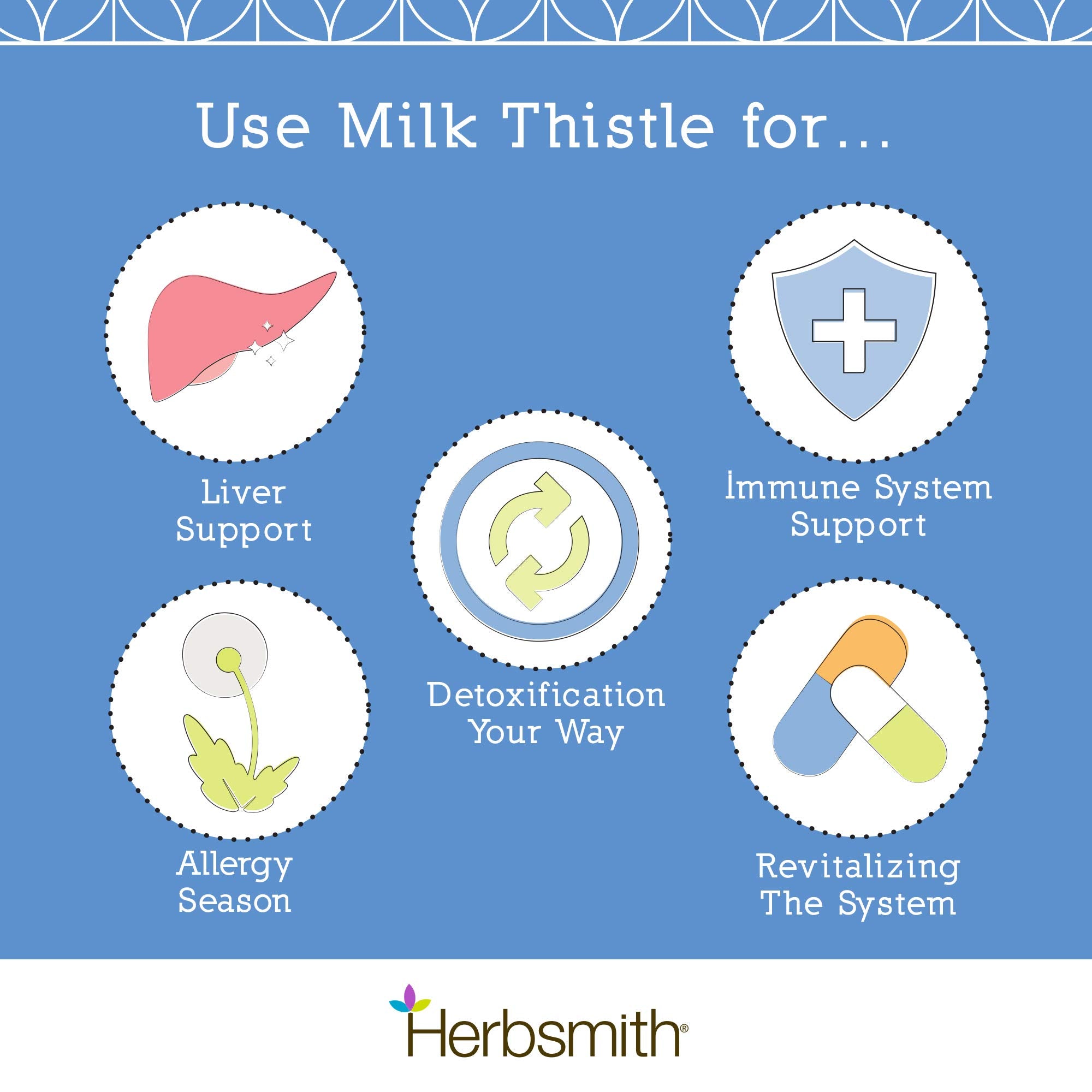 Detalle de la planta Milk Thistle en sachet de Herbsmith.