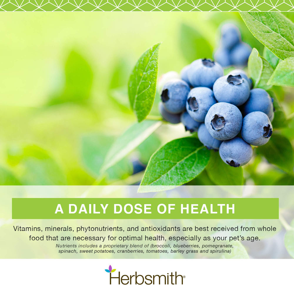 Herbsmith Nutrients: apoyo nutricional diario para perros