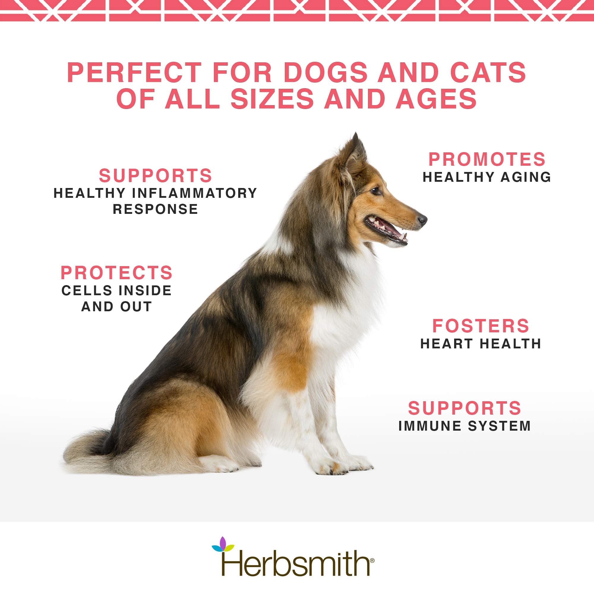 Herbsmith Pure Krill: ingrediente único sin aditivos para alimentación simple.