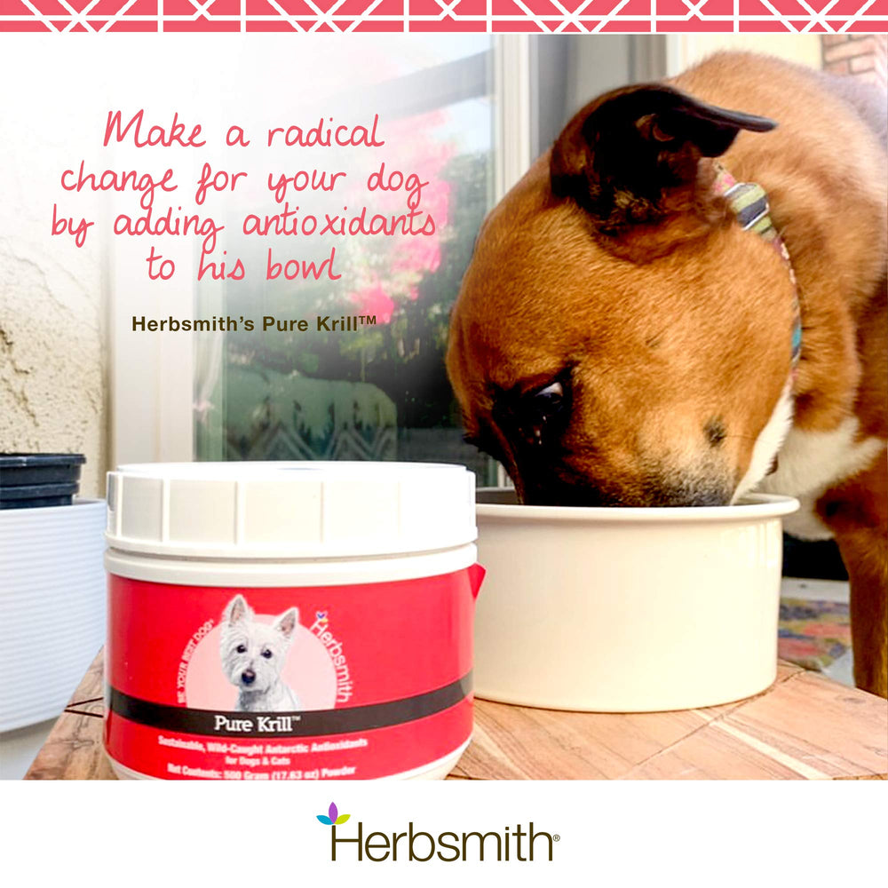 Herbsmith Pure Krill: fuente eficiente de EPA y DHA para perros activos.