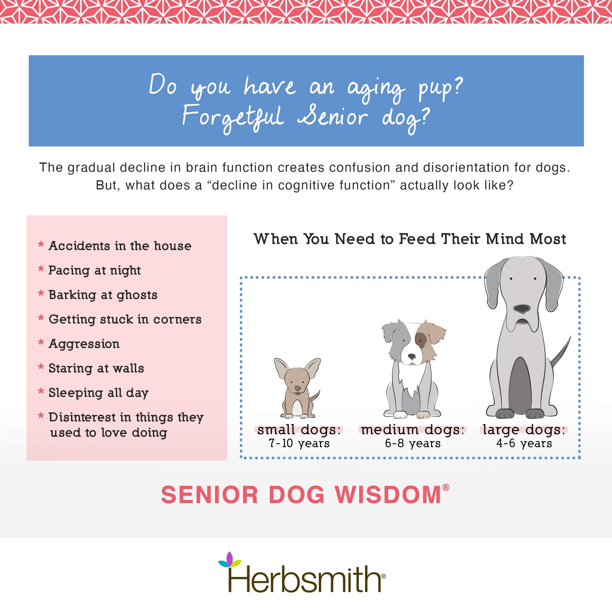 Herbsmith Senior Dog Wisdom: DHA y salud cerebral en cada bocado