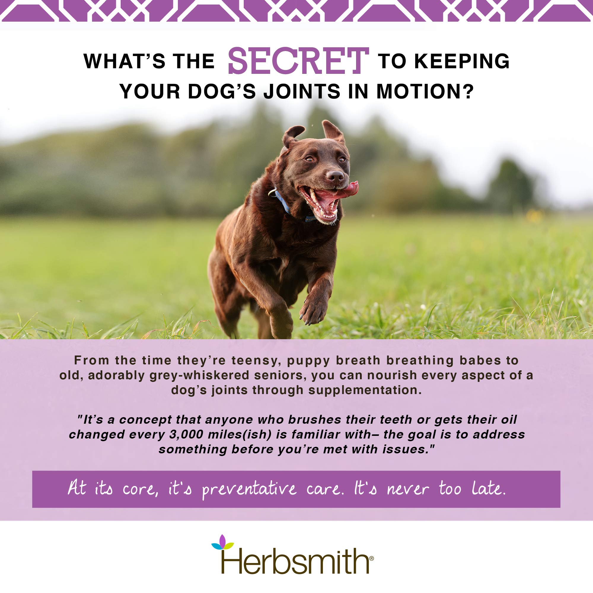 Herbsmith Sound Dog Viscosity dosis diaria de glucosamina para perros