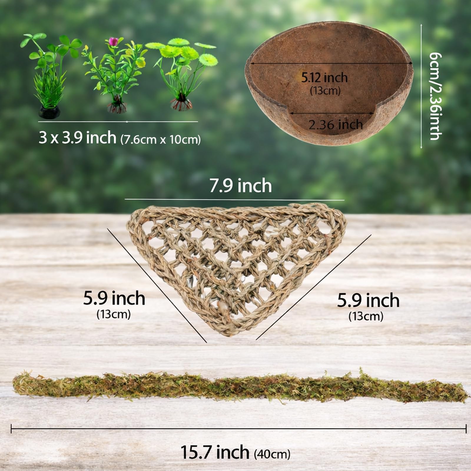 HERCOCCI decoración natural para hábitat, añade dinamismo y color