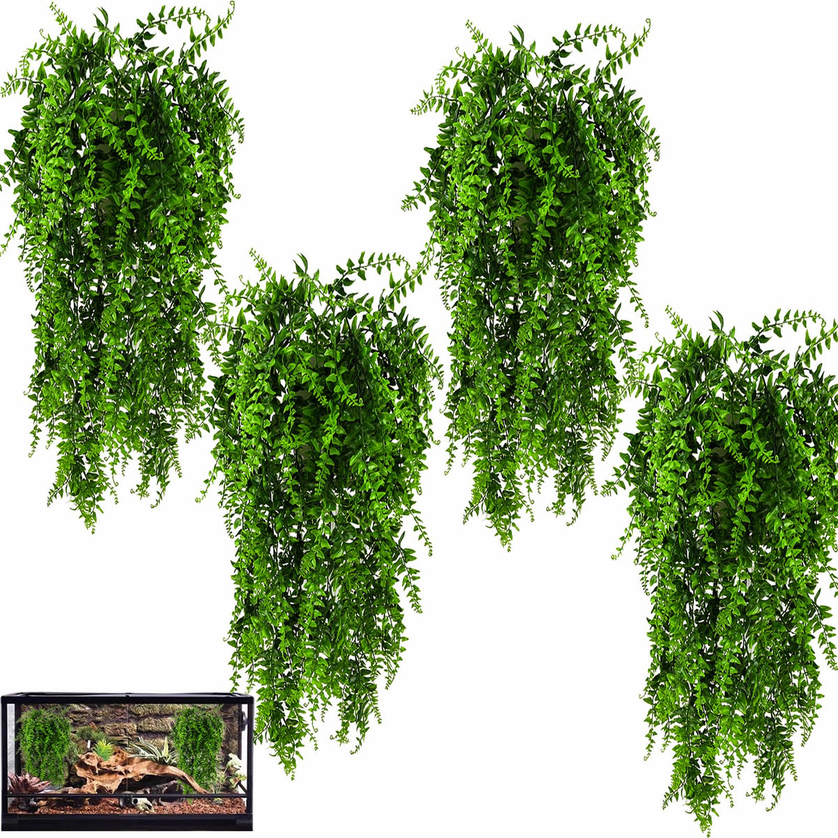 HERCOCCI plantas para terrario colgantes enredaderas brindan refugio natural para reptiles