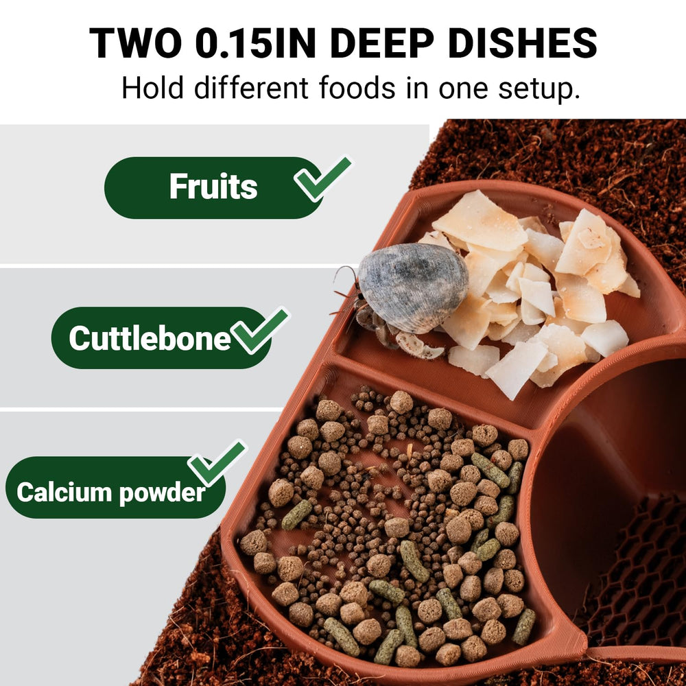 HERPDEN habitat-tazones-dobles facilita comidas variadas en un solo conjunto.