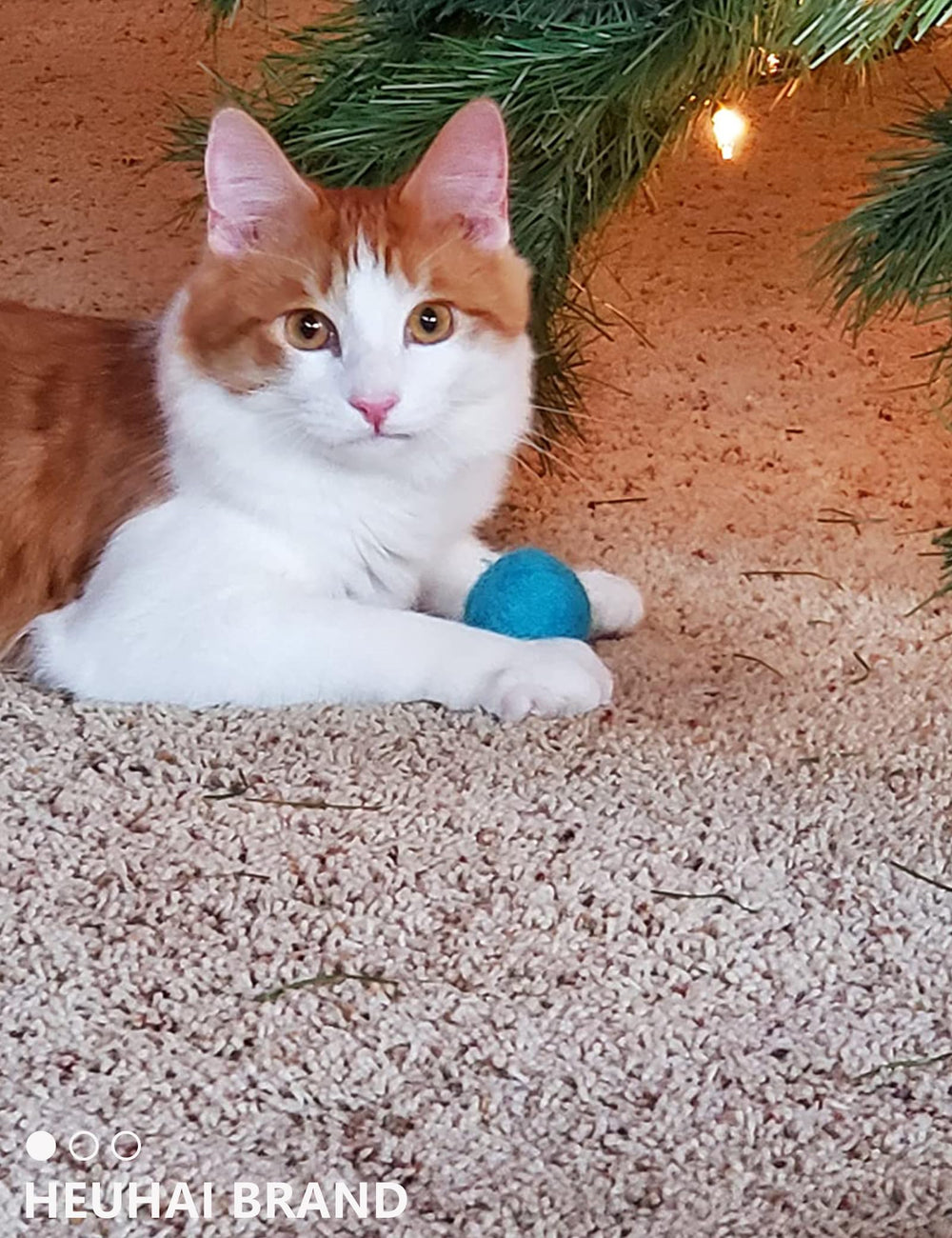 HEUHAI bolas para gatos naranjas: ideal para persecución en casa.