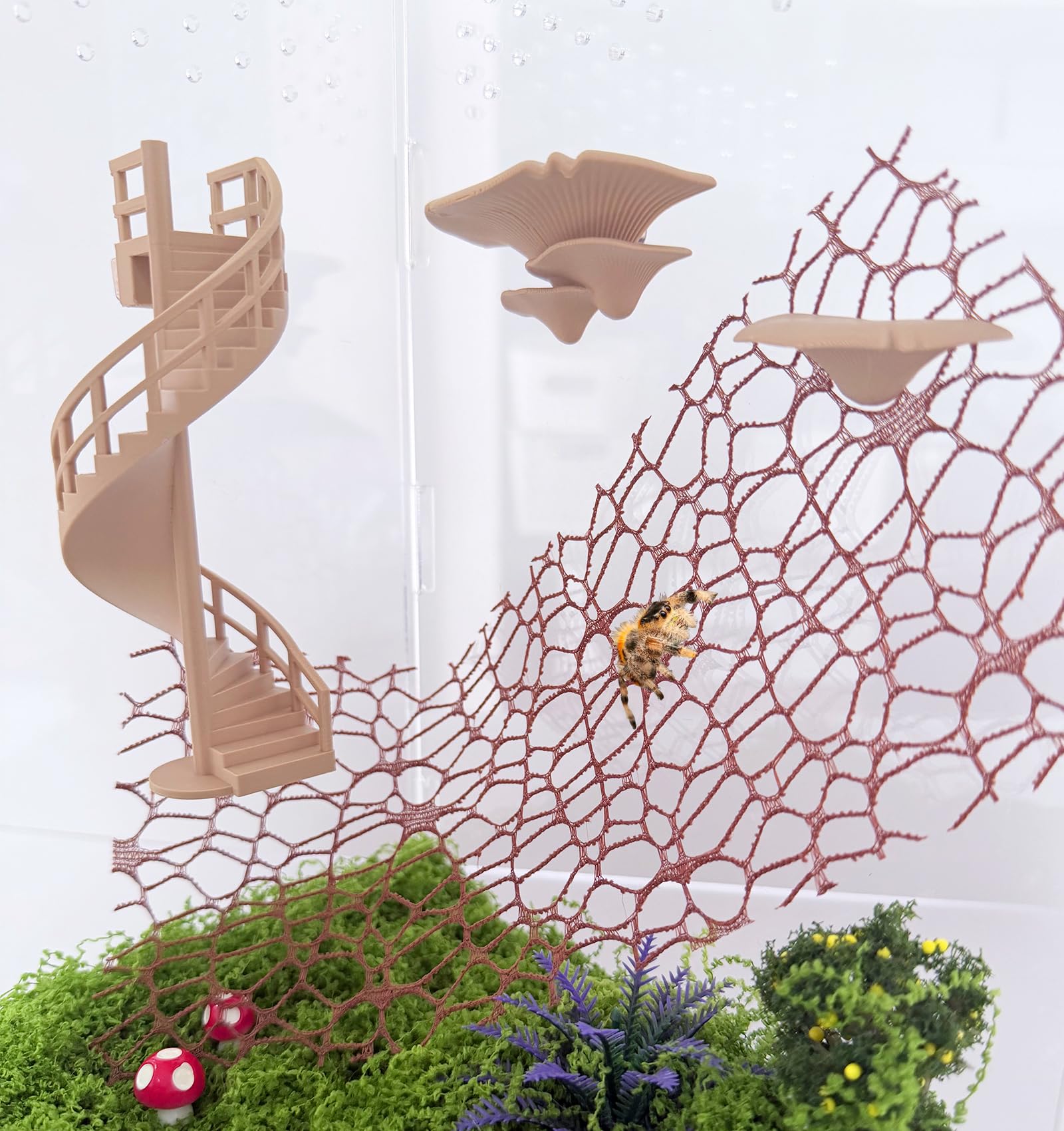 Heyshapeing habitat-natural-enriquecido: crea entorno cómodo y estimulante para arañas y otros invertebrados.