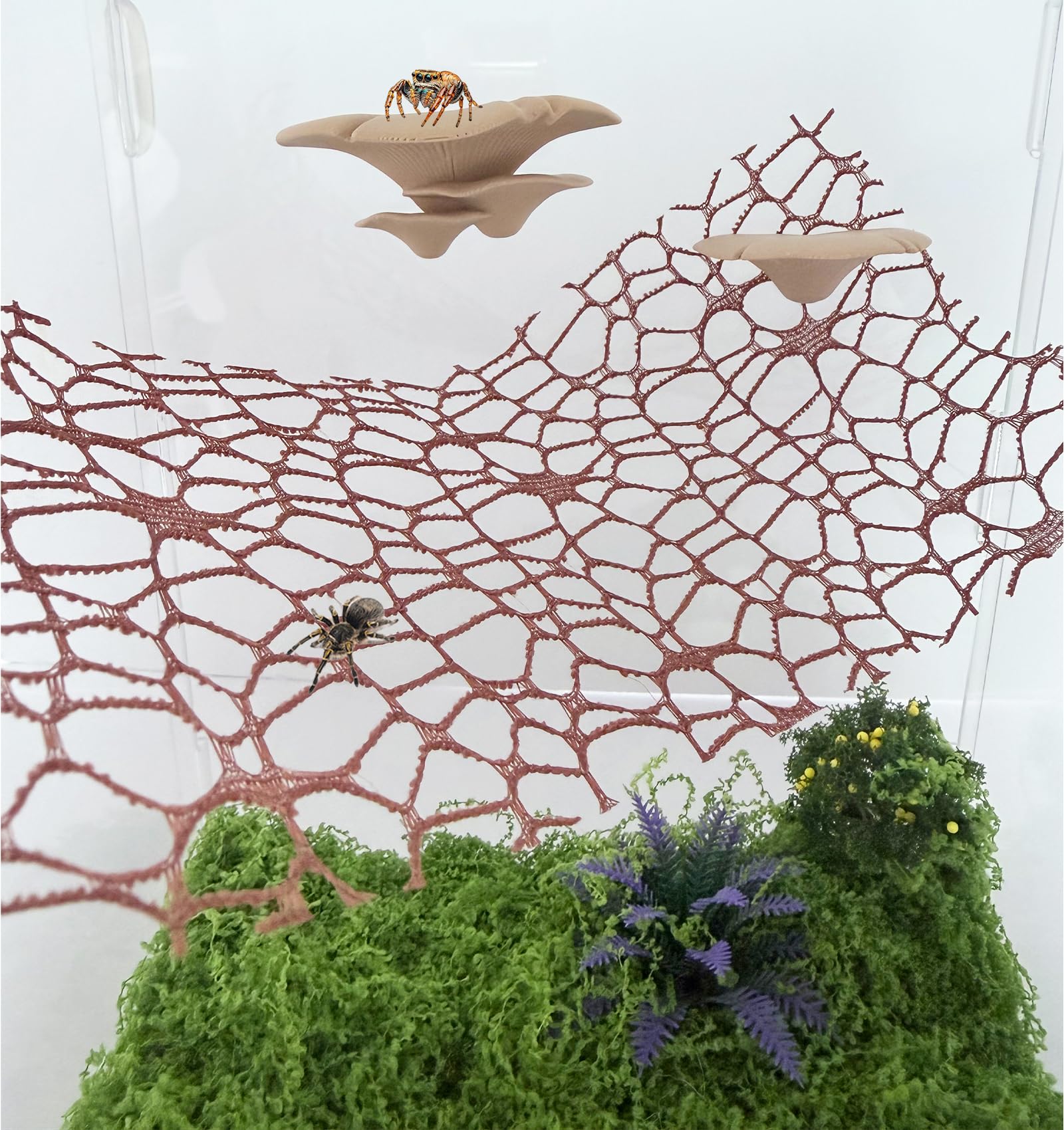 Heyshapeing soporte-hongo-impresion-3d-pla: componentes ligeros y duraderos para uso diario en terrario.