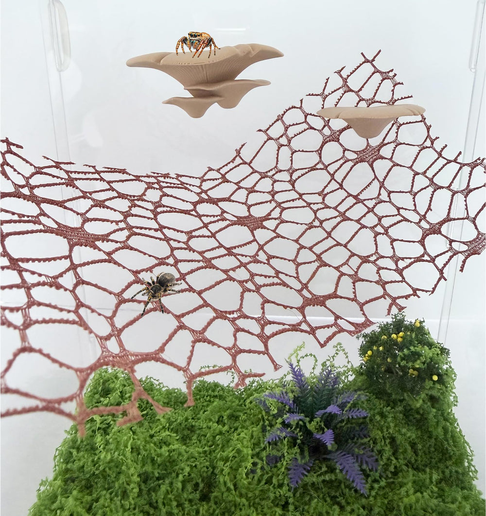 Heyshapeing soporte-hongo-impresion-3d-pla: componentes ligeros y duraderos para uso diario en terrario.