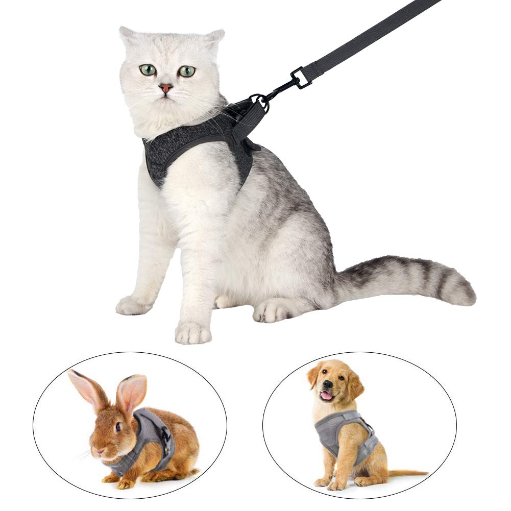 HEYWEAN diseño cómodo con acolchado suave para paseo estable.