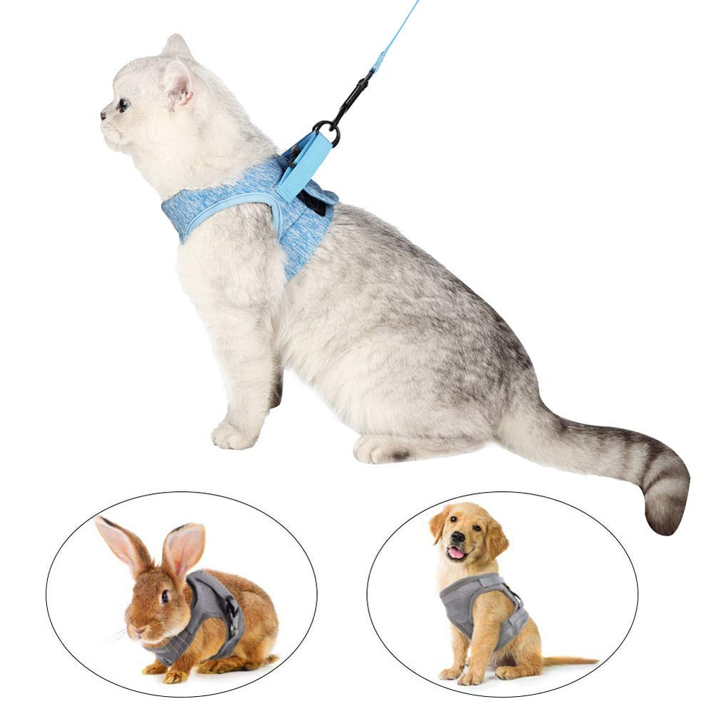 HEYWEAN guía de tallas para gatitos: S, M y L.
