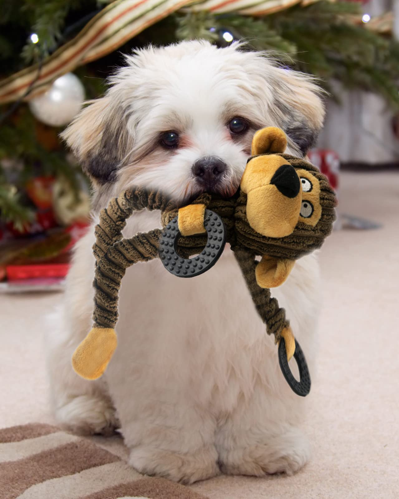 Juguete HGB tamaño pequeño, ideal para perros pequeños