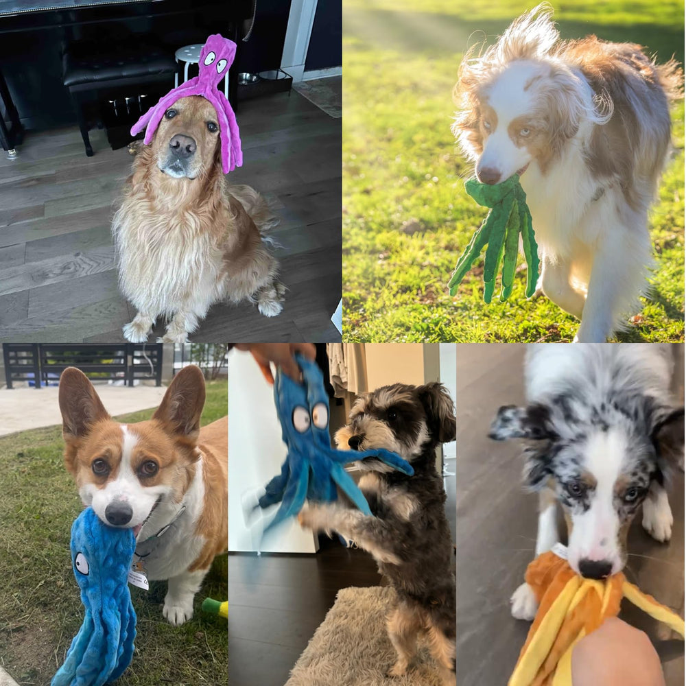 Juego de dos pulpos HGB para entretenimiento diario del perro.