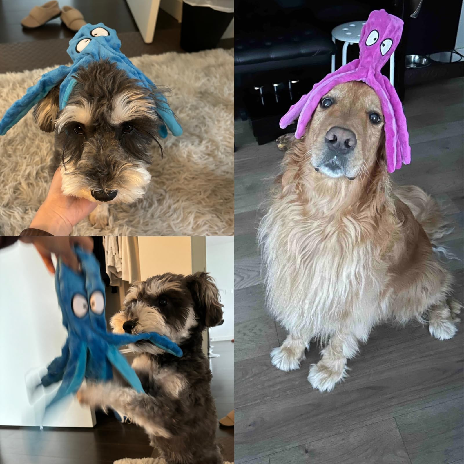 Juguete de peluche HGB pulpo para entrenamiento y juego en casa.