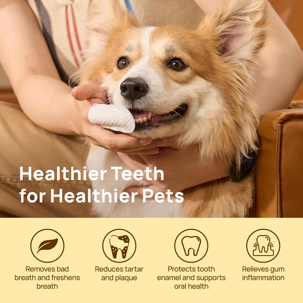 HICC PET: dedo dental para limpieza suave de dientes difíciles