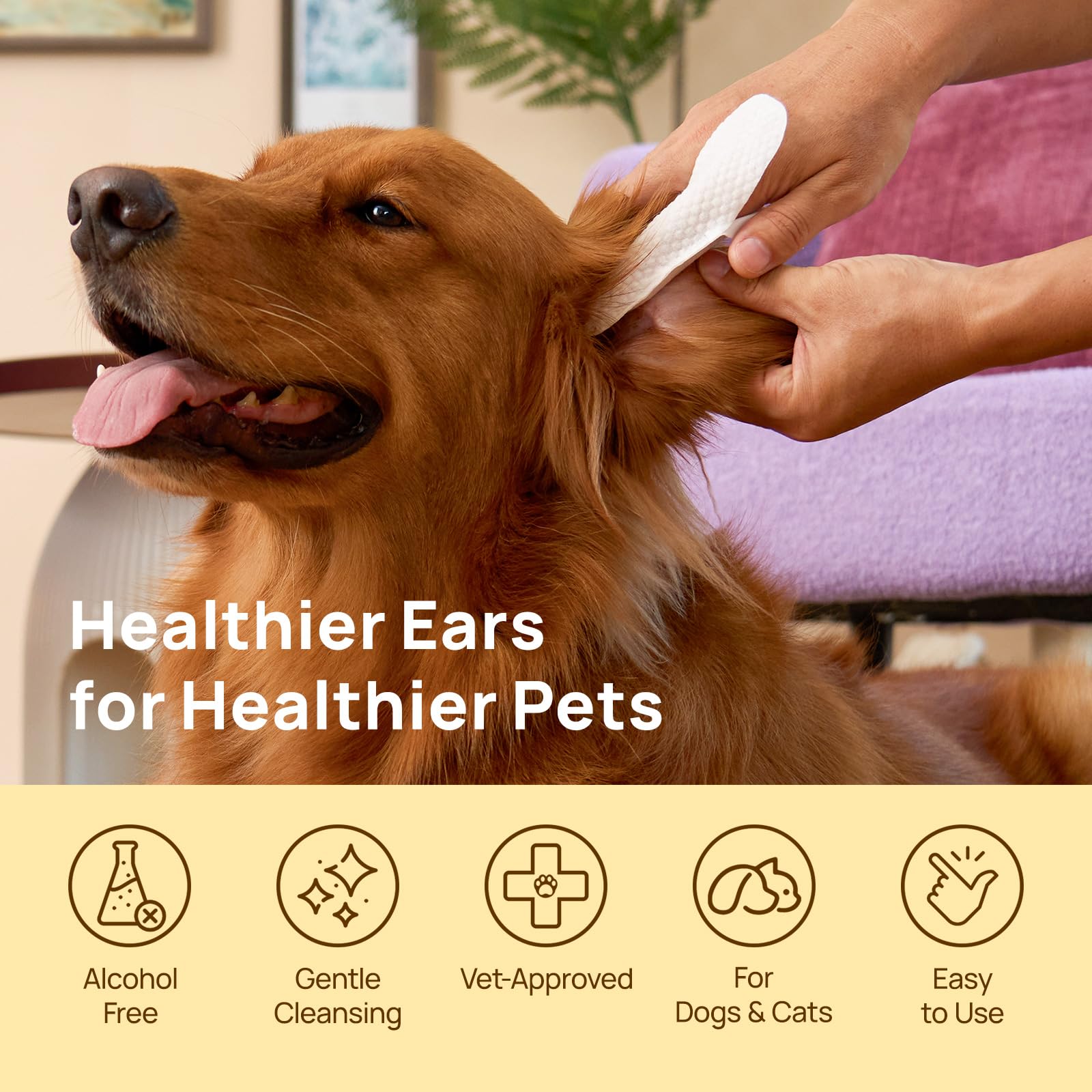 HICC PET fibras vegetales biodegradables para una limpieza suave.