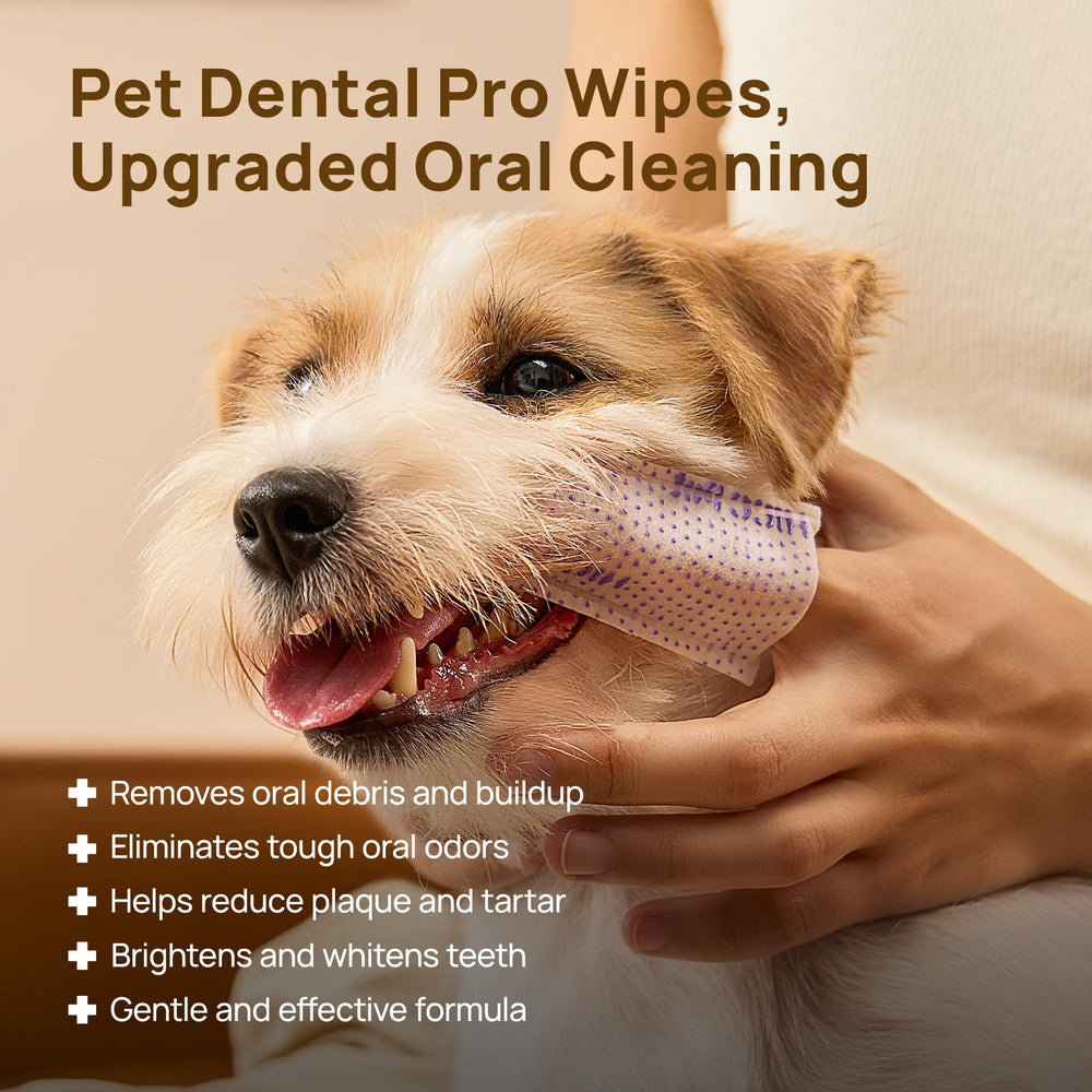 Dedo con HICC PET Pro facilita un cepillado suave de dientes