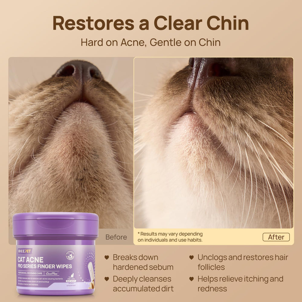 HICC PET textura curva limpia suavemente alrededor de labios del gato