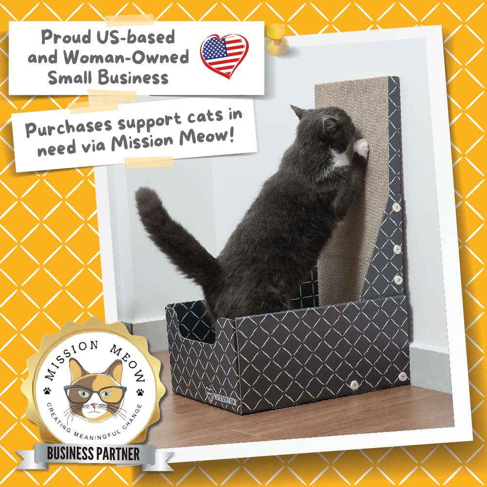 Hide & Scratch kit de montaje sencillo, perfecto para gatos jóvenes.
