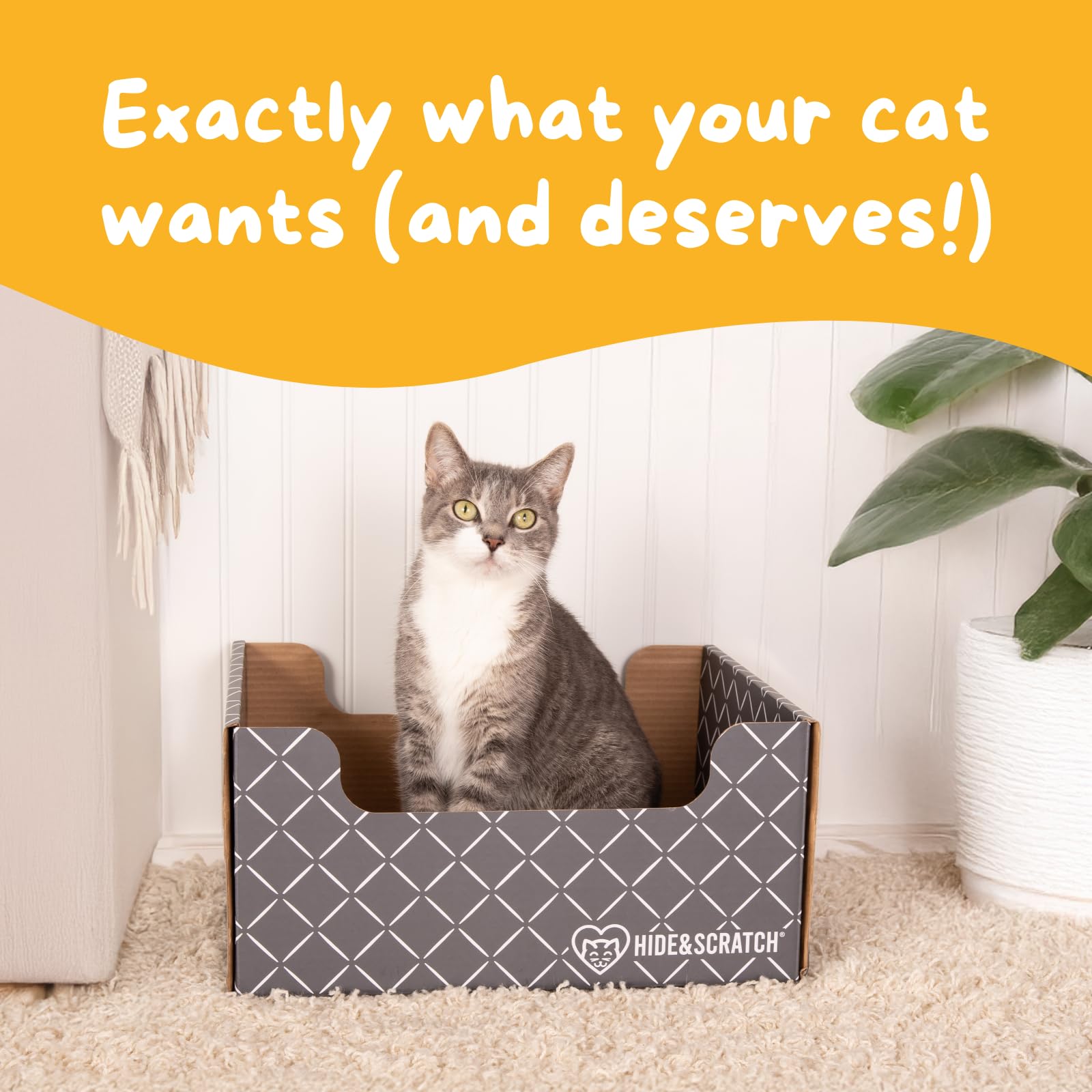 Hide & Scratch protege muebles y ofrece juego para gatos curiosos