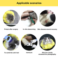 Chat mange et boit normalement avec le cône HiDREAM imperméable.