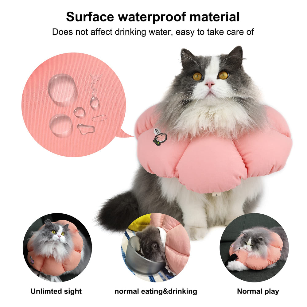 HiDREAM collier-cone chat confort — permet de manger et boire normalement.